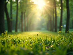 The Importance of Sustainable Living in Today's World