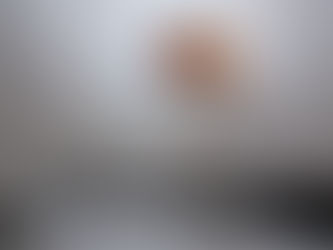 不忍池は繰り返す-野村穂貴《運命は、アヒルのように、光を作す》