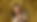 IMG_5131_edited.png