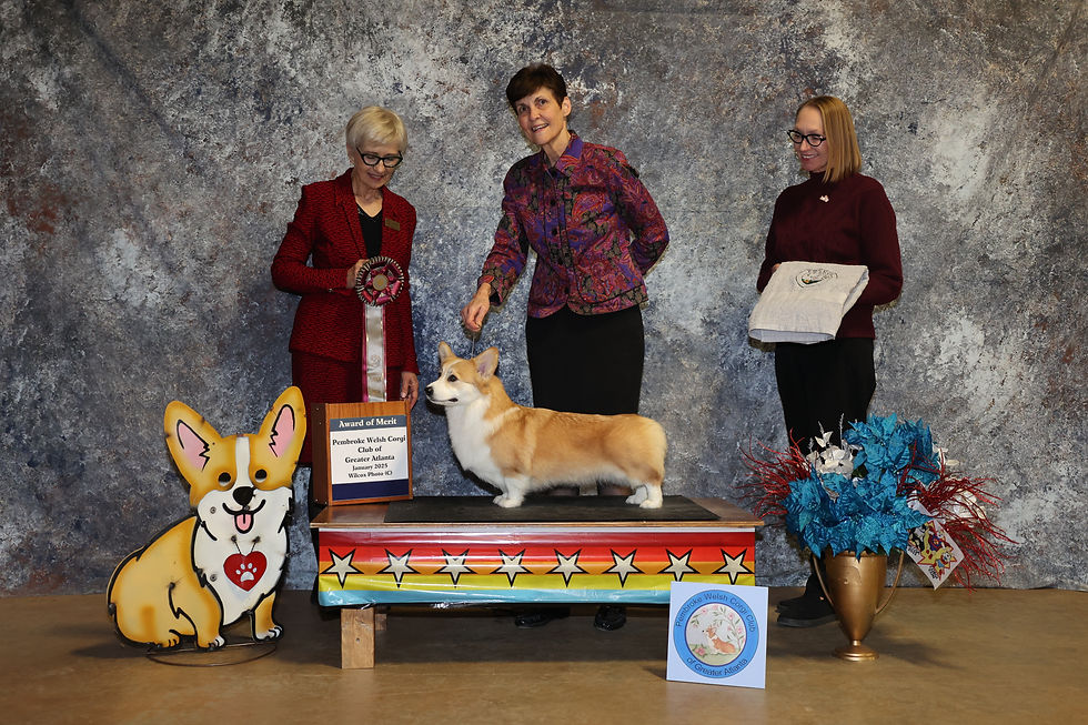 Award of Merit