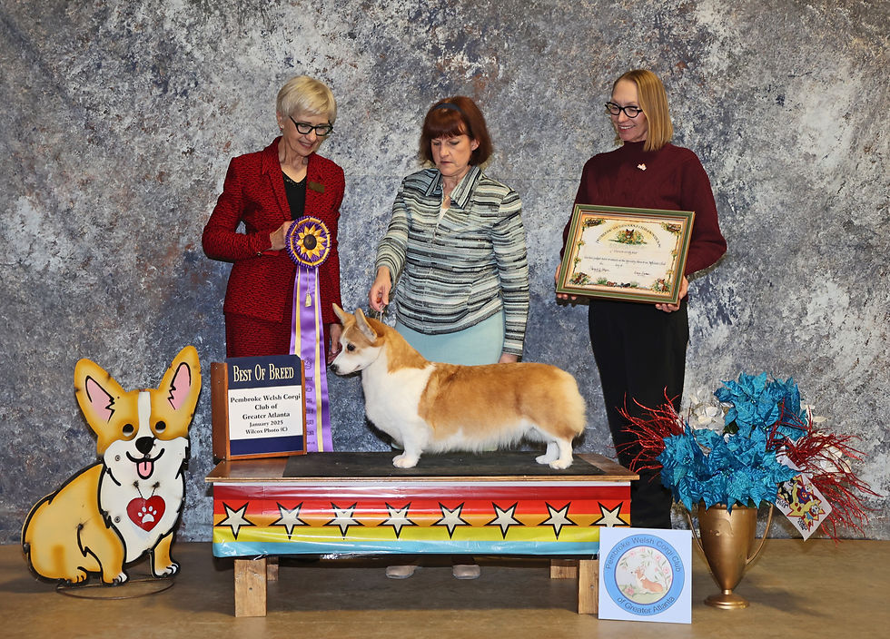 Best of Breed