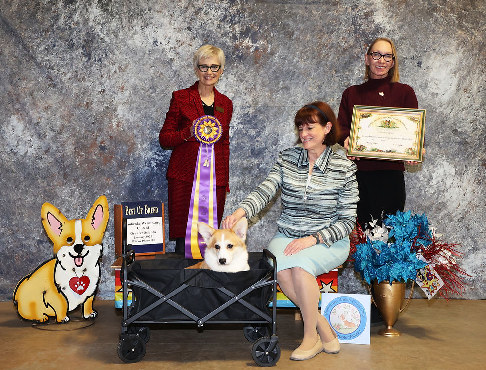 Best of Breed