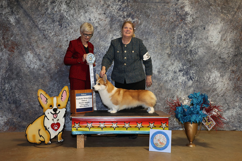 Select Dog