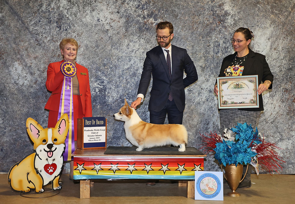 Best of Breed