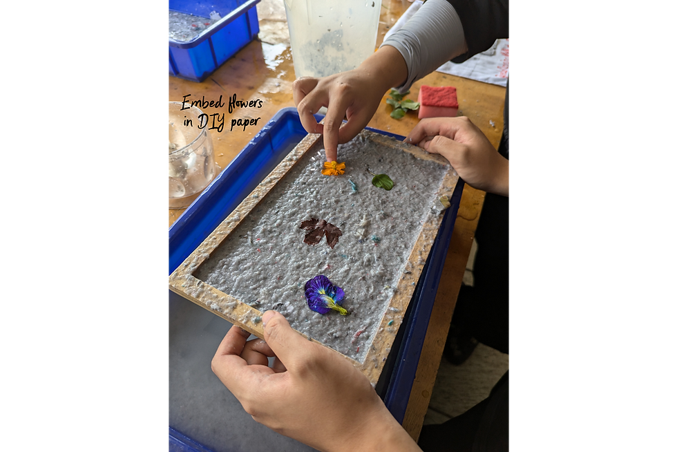 Thumbnail: Embedding flowers in paper paste to create DIY paper sheets