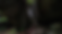 Snapshot_4.png