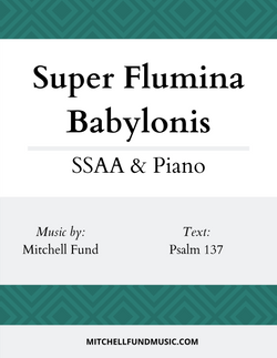 SFB (SSAA+P) Cover