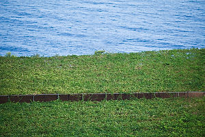 _MG_6986-Edit.jpg
