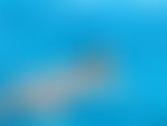 Una gran tortuga Boba muy cerca del barco..