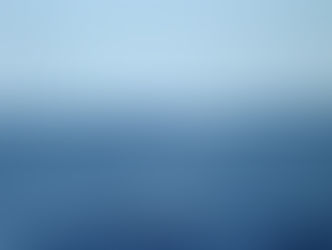 Dos ballenas enormes y varios delfines...