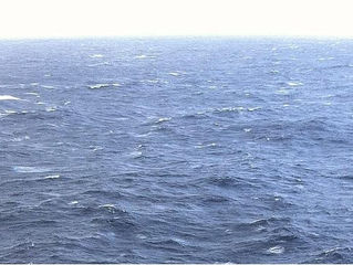 Ponemos el tercer rizo