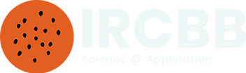 Original on Transparent.png