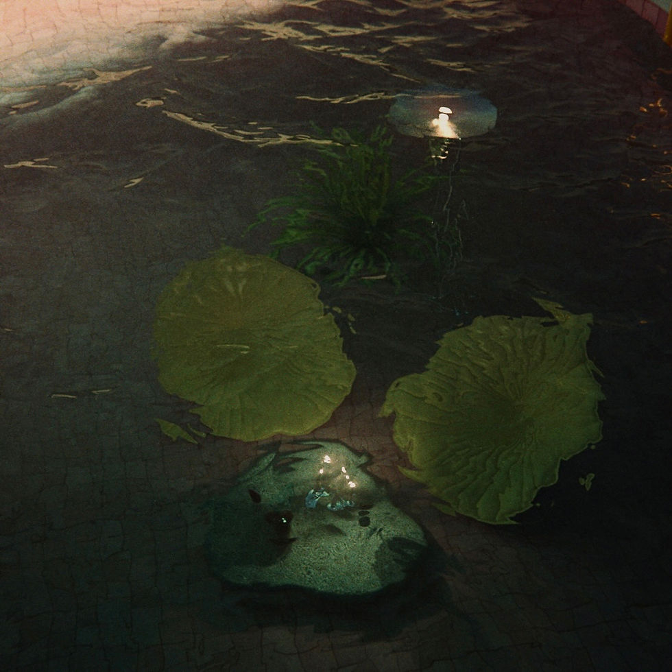 3D Visualization1.jpg