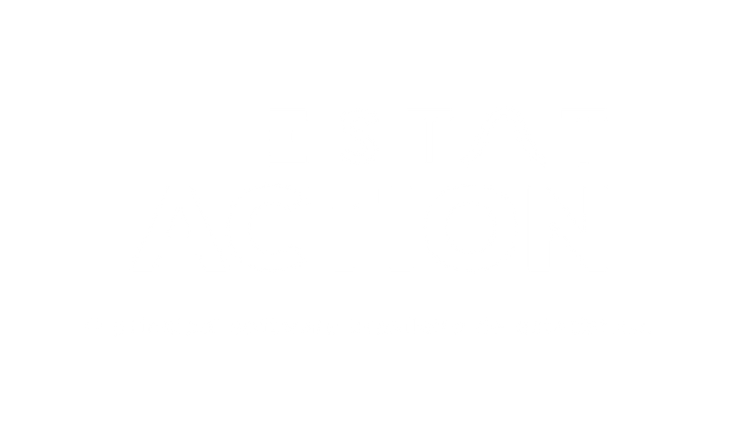 software_estataction_logo