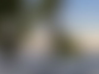 A glass of Malvasia: a wine with the flavor of Venice and the Mediterranean