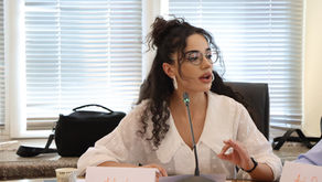 Georgian Group about "Human change not climate change"