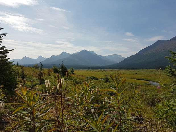 20190814_110157.jpg