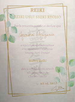 maitre reiki