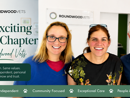Smiling Roundwood Vets team of three in a clinic, beside text: An Exciting New Chapter for Roundwood Vets.