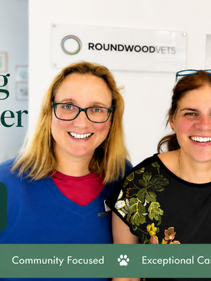 Smiling Roundwood Vets team of three in a clinic, beside text: An Exciting New Chapter for Roundwood Vets.