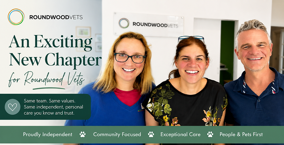 Smiling Roundwood Vets team of three in a clinic, beside text: An Exciting New Chapter for Roundwood Vets.