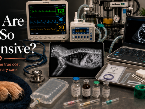 Veterinary care poster with monitors, x-ray and ultrasound images, paw, and text: Why Are Vets So Expensive?