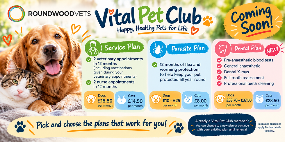 Dog and cat beside Vital Pet Club ad for Roundwood Vets; service, parasite, dental plans and Coming Soon banner.