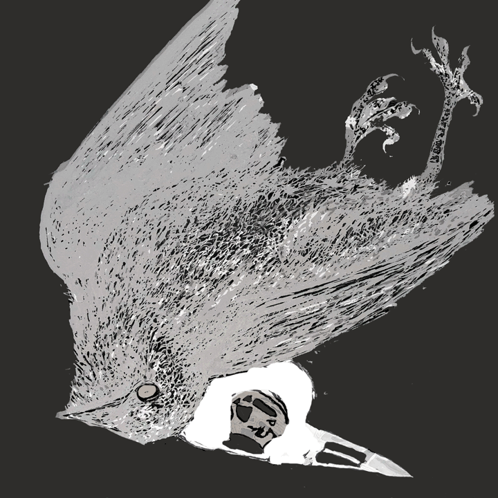 Illustration caitlyn stegall