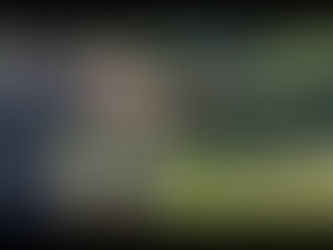 Beginners Guide to Rimfire Pistols for Steel Challenge