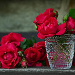 Red Roses In Water