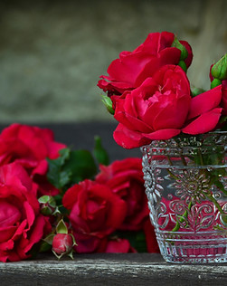 Red Roses In Water