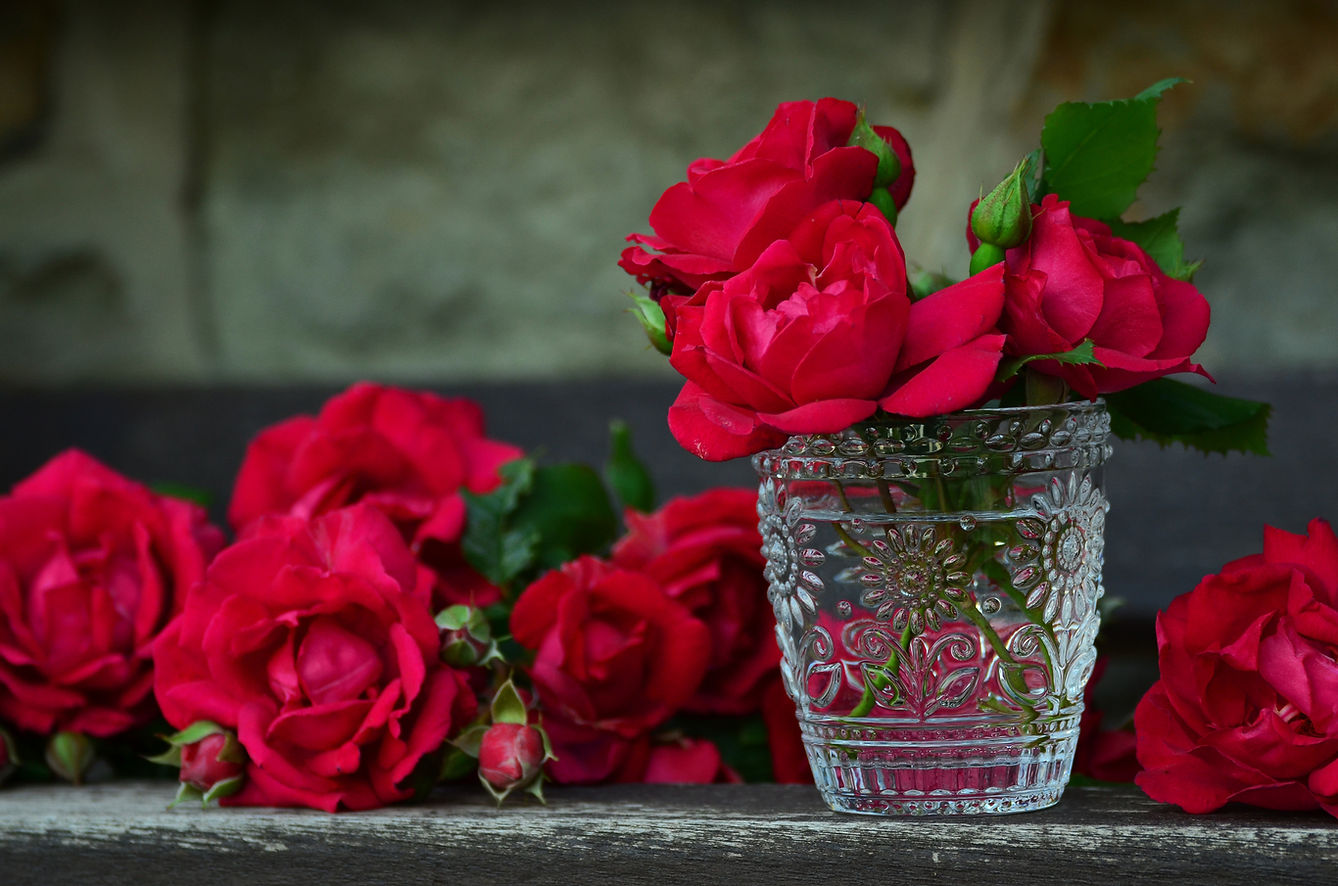 Red Roses in Vase