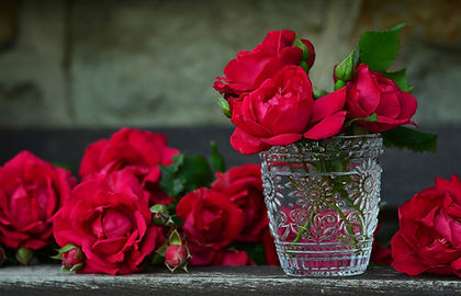 Red Roses In Water