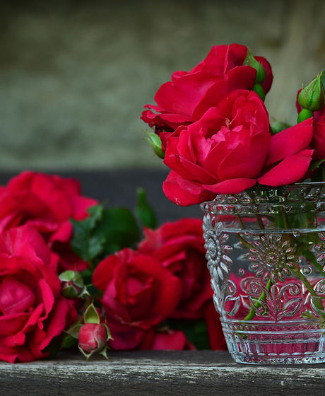 Red Roses In Water