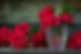 Red Roses In Water