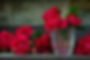 Red Roses In Water
