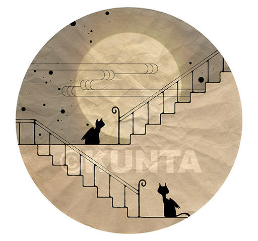 Night with a full moon