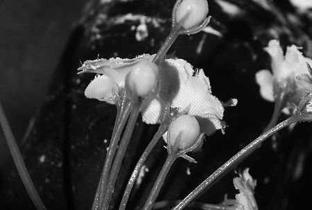 rs_proj2b_s2015 copy.jpg