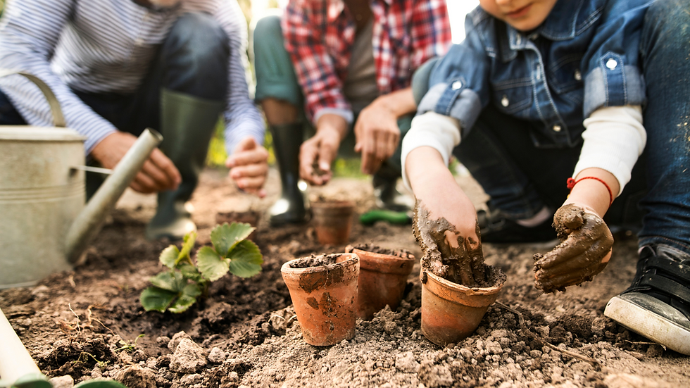 Website Images (1).png