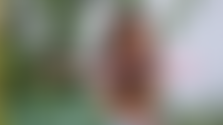 Why time in the garden supports children's learning