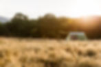 am-we-chapelhousefarm-22