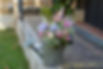 Composition florale