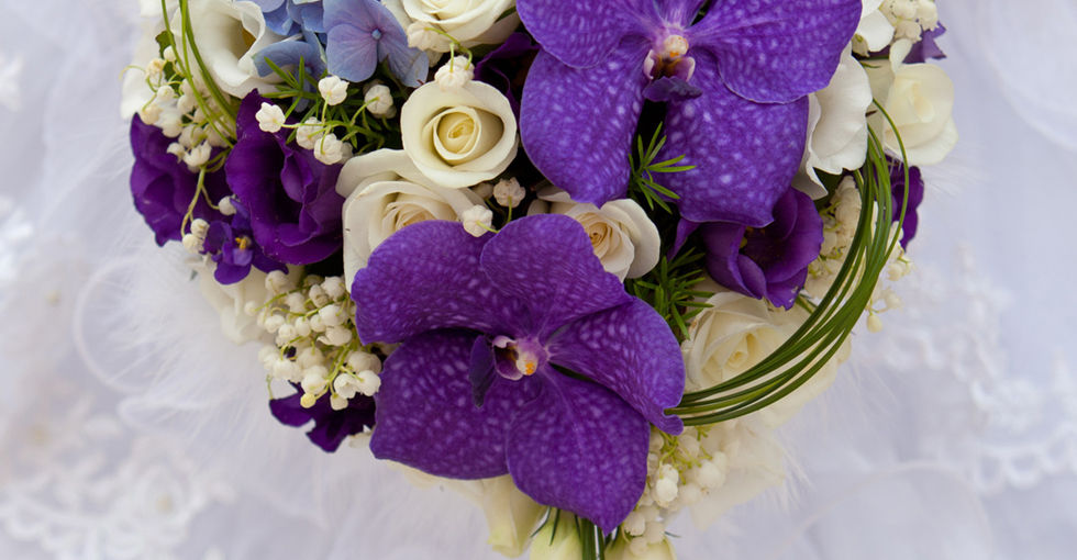 Miniature : N°42 - 148 €