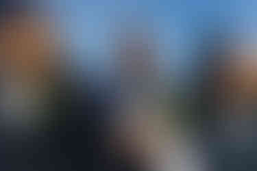 Natural groom portrait at a relaxed South West wedding