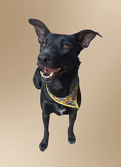kiara.png