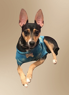 mara.png