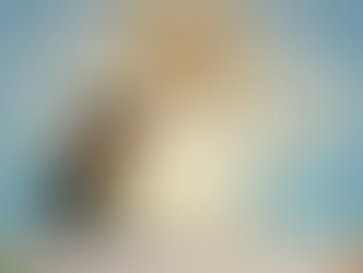 6만 수료식에 비친 신천지의 속사정