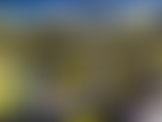 신천지 관련단체, 48억 세금에 불복했다 사실상 패소