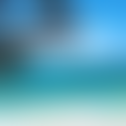 Ten Things You Must Know About the Bahamas!!