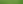 Wix Strip Backgrounds (Ambiente Chiro)_edited_edited.png